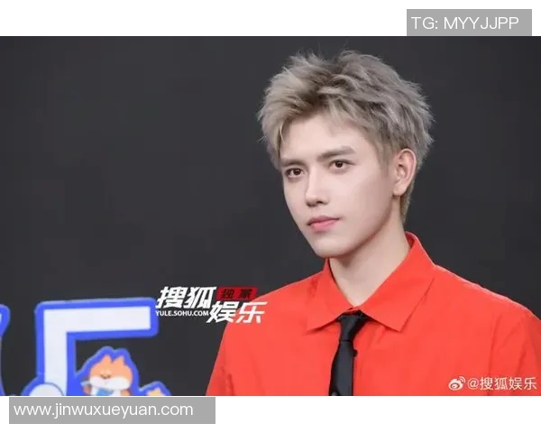 原帅的成长之路:从青涩少年到耀眼明星的奋斗历程与心路历程 原帅的成长之路:从青涩少年到耀眼明星的奋斗历程与心路历程