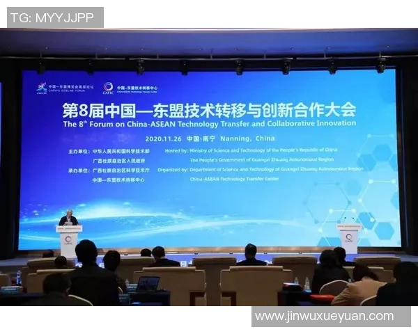 代怀博的崛起之路与未来发展潜力分析探讨