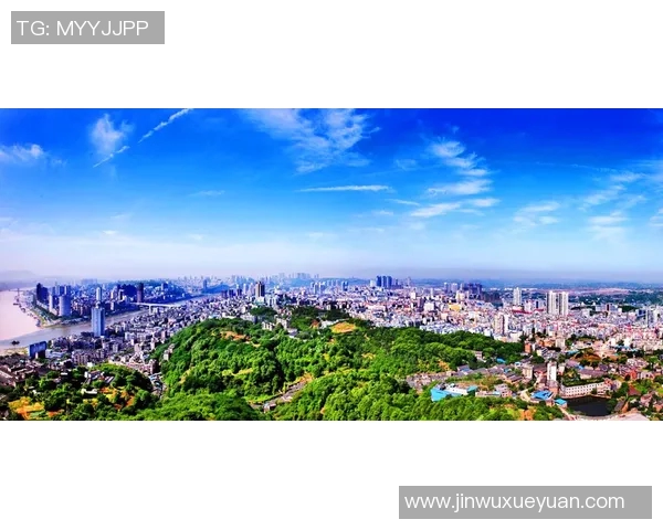 象牙海岸与巴林实力对比分析谁能在国际舞台上更胜一筹 象牙海岸与巴林实力对比分析谁能在国际舞台上更胜一筹